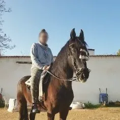 Laura, 31